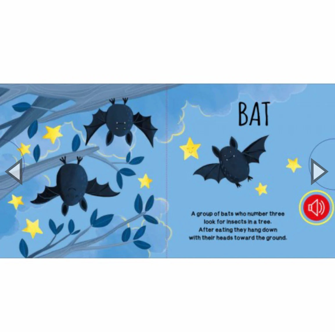 Sassi - Sound Book - The Wood