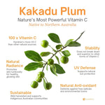 Load image into Gallery viewer, AussieZinc Mineral Sunscreen - Anti-Aging Vitamin C Daily Glow SPF50+ Organic Mineral Zinc Sunscreen
