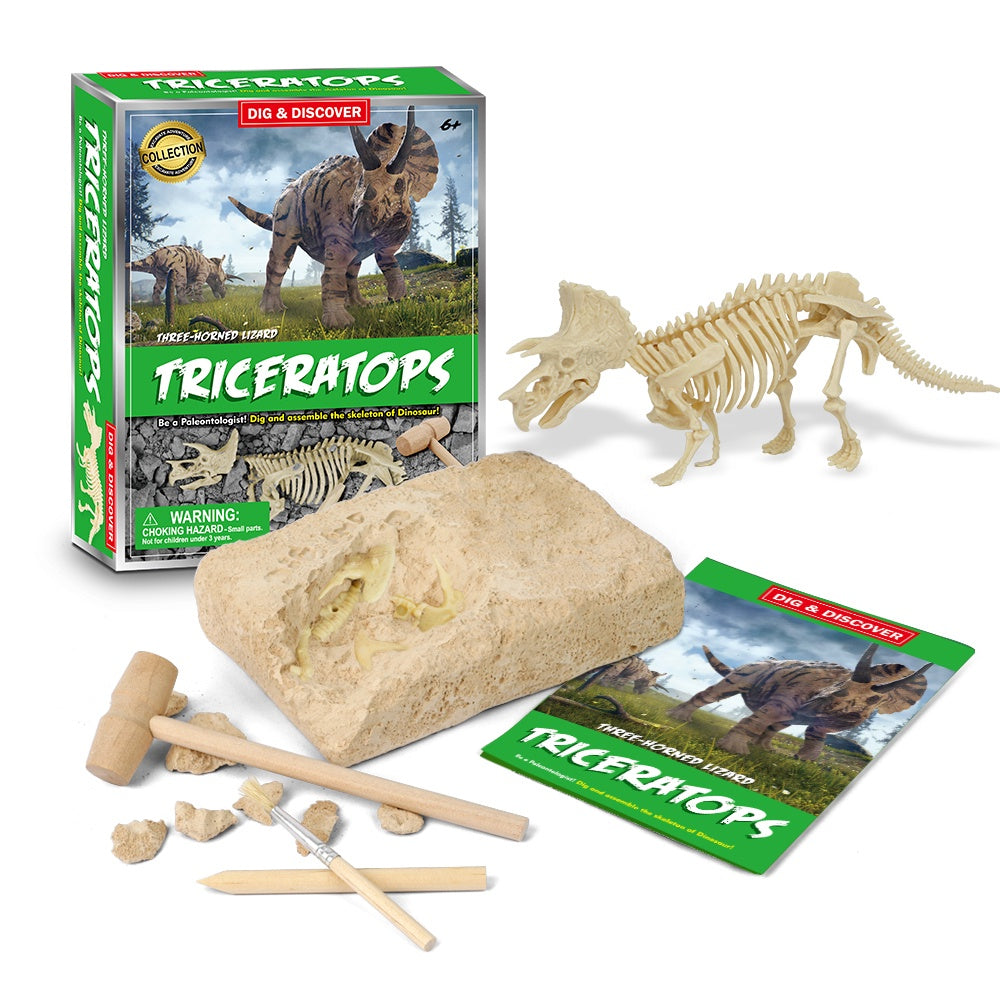 Dig & Discover - Triceratops