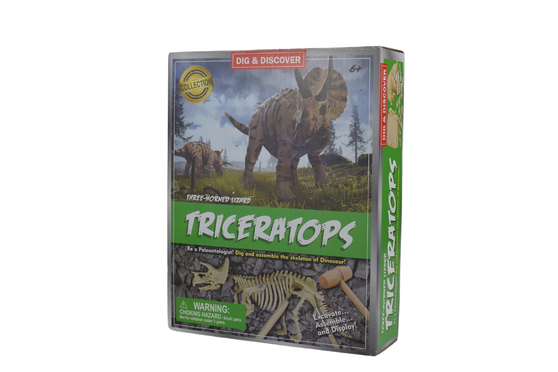 Dig & Discover - Triceratops