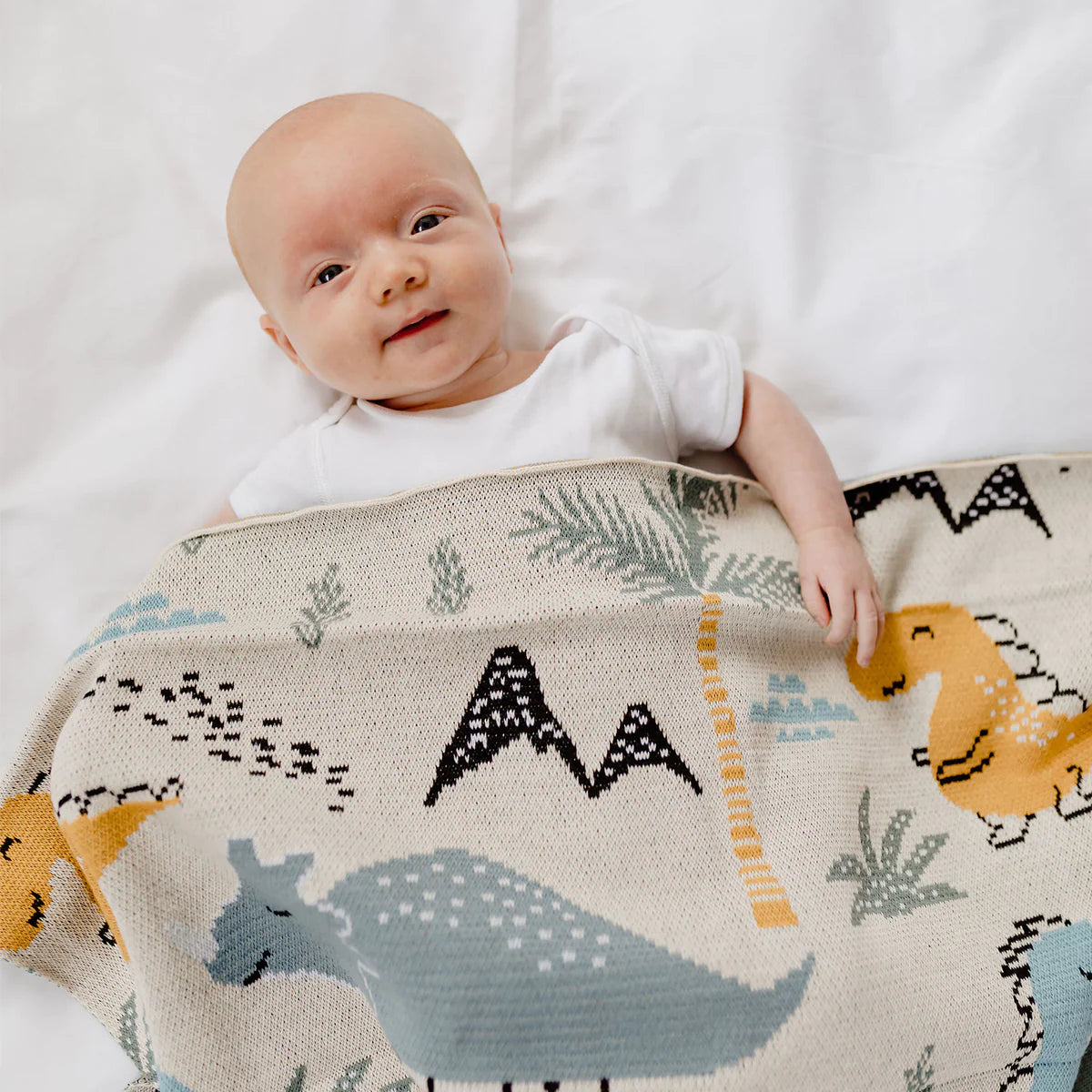 Di Lusso Living - Baby Blanket Dino Dinosaur