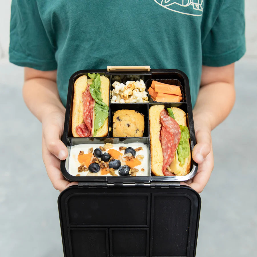 Little Lunch Box - Bento Five Dinosaur Land