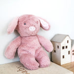 Load image into Gallery viewer, Alimrose - Plush Piggy Toy
