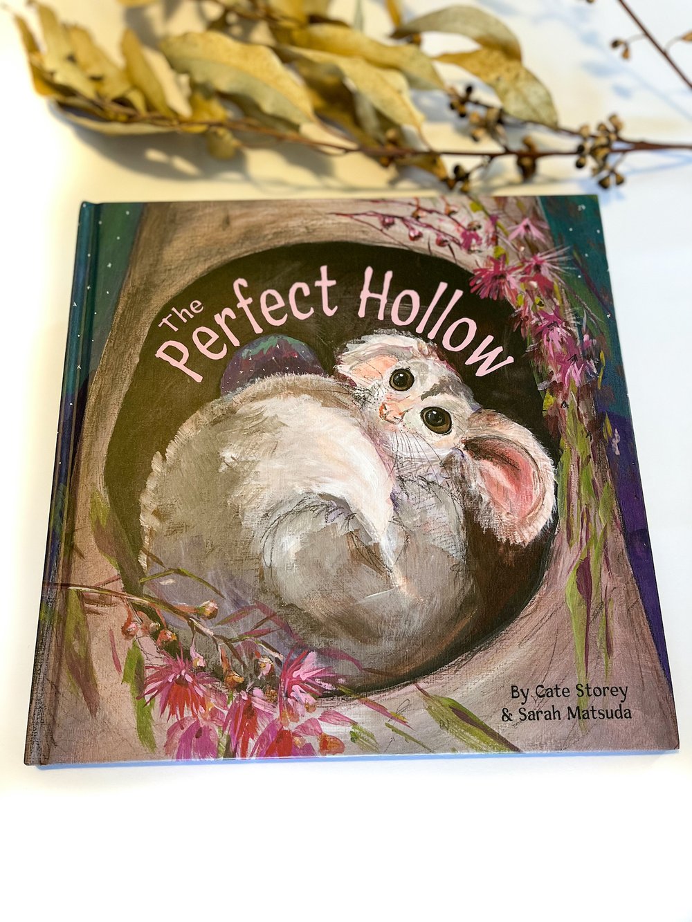 Wet Season Books - The Perfect Hollow