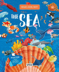 Sassi - What How and Why Book and Poster - Sea