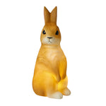 Load image into Gallery viewer, Jiggle &amp; Giggle - Night Light - Bunny
