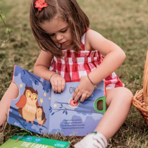 Sassi - Sound Book - The Wood