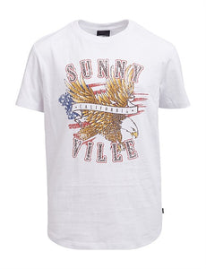 Sunnyville Americana T-Shirt, Boys Clothing, Sticky Fingers Children's Boutique