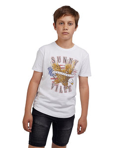 Sunnyville Americana T-Shirt, Boys Clothing, Sticky Fingers Children's Boutique
