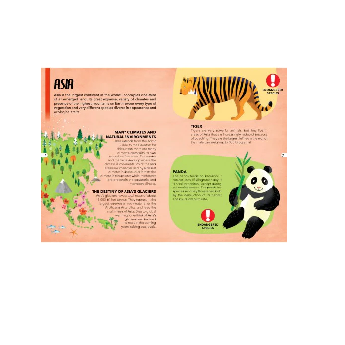 Sassi - Explore Puzzle & Book Set Animals