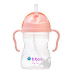 Load image into Gallery viewer, B.Box - Sippy Cup Tutti Fruiti
