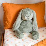 Load image into Gallery viewer, OB Design - Large Beau Bunny Huggie Sage Plush Easter Toy
