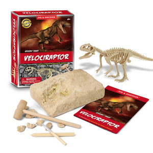 Dig & Discover - Velociraptor