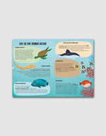 Load image into Gallery viewer, Sassi - Explore Puzzle &amp; Book Set The Sea
