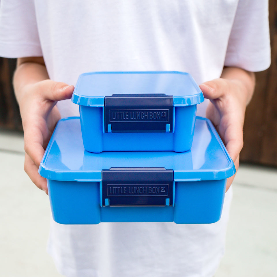 Little Lunch Box - Bento Three Blueberry