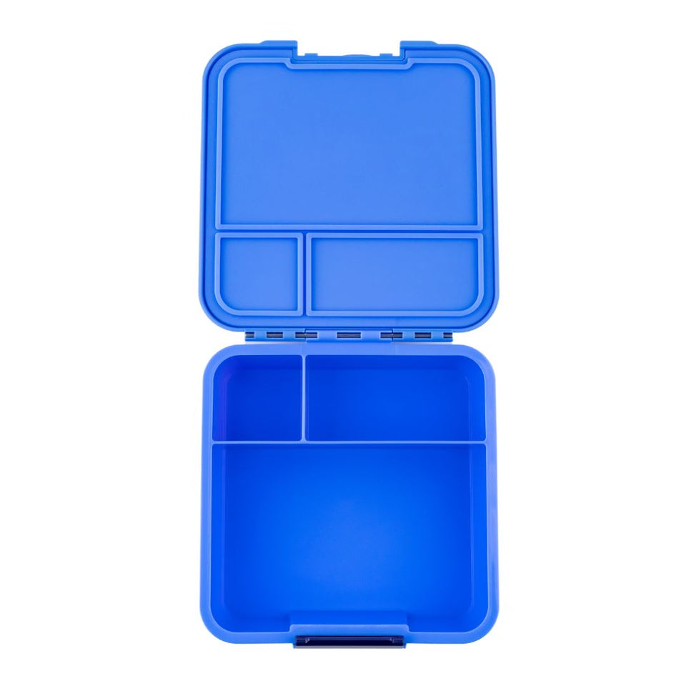 Little Lunch Box - Bento Three Blueberry
